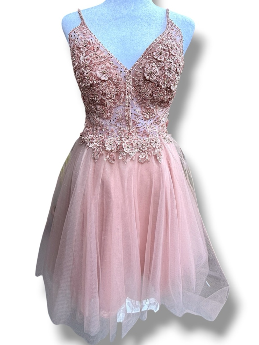 Cinderella Divine Dress Pink Embellished Mini Tulle Embroidered Balletcore Prom